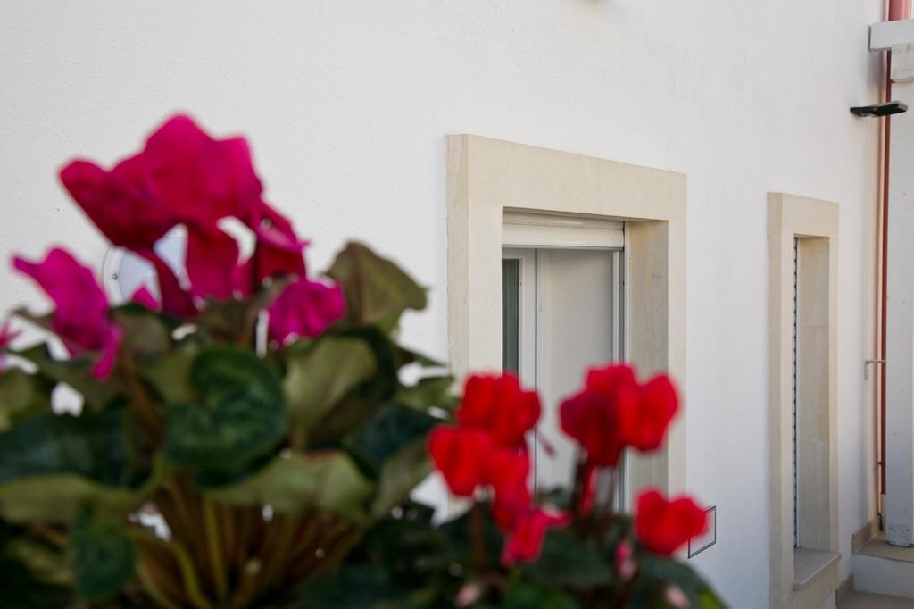 Residence Giuliana Santa Maria di Leuca Luaran gambar